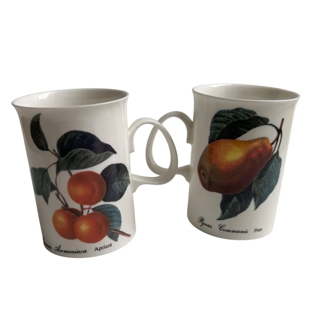 Set of 6 Dunoon Fruit Blenheim Mugs Bone China England